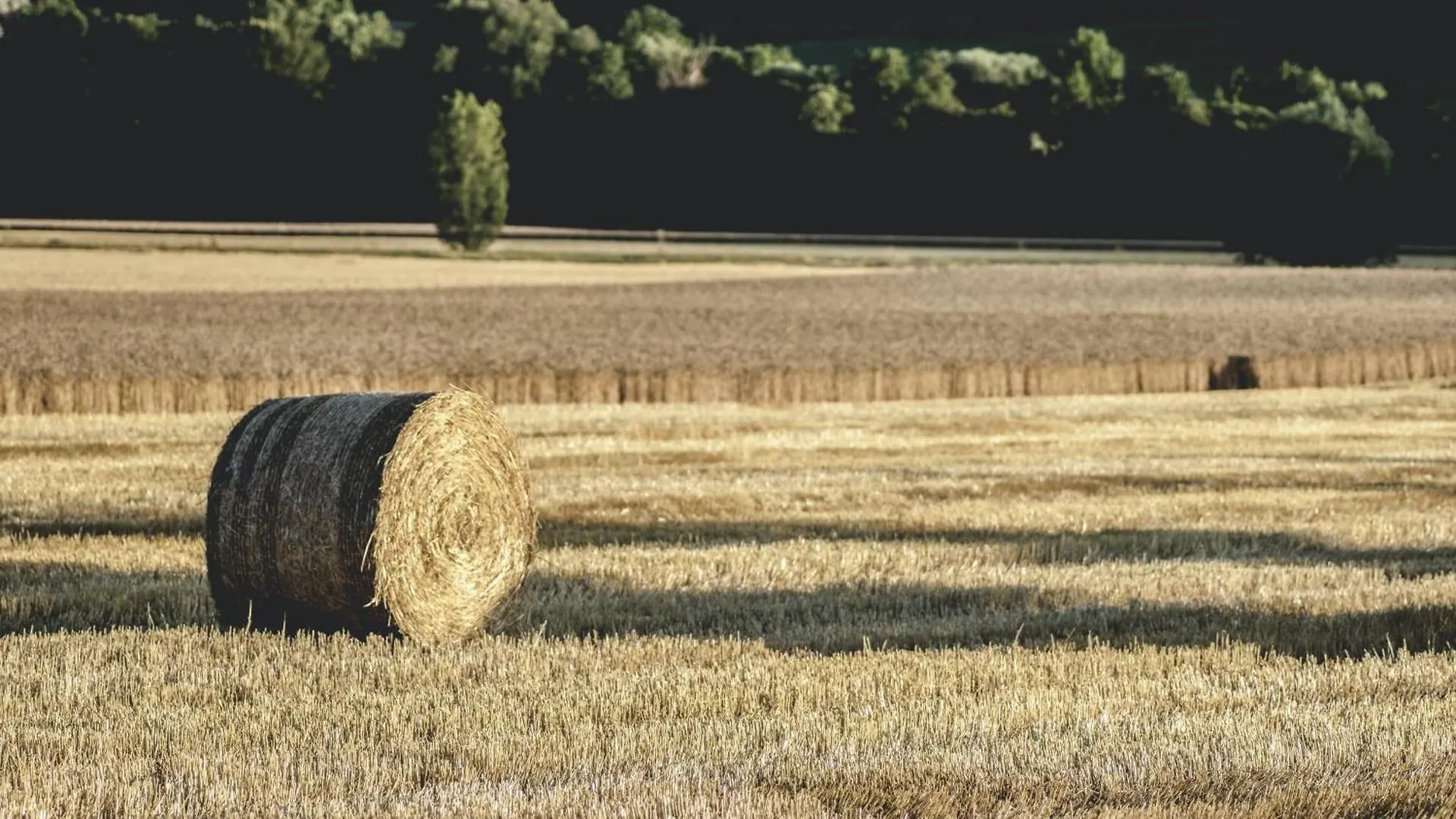 Дом отдыха Gite De Charme A La Ferme - Plain-Pied Landrevarzec